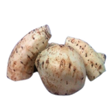 CAMOTE BLANCO