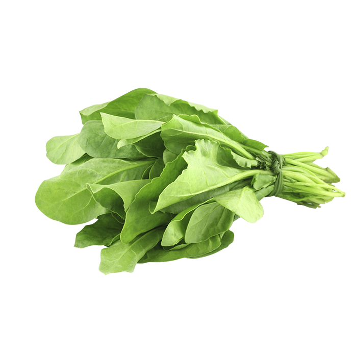 ESPINACA 1  PZA.