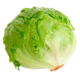 LECHUGA ROMANA 1  PZA.