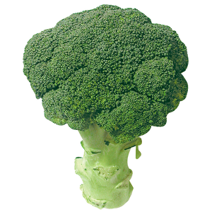 BROCOLI