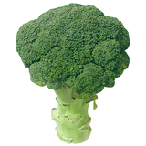 BROCOLI