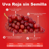 UVA ROJA SIN SEMILLA