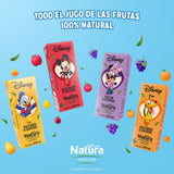 JUGO NATURA MANGO 200  ML.