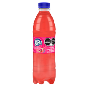 JUMEX BIDA PET FRESARCASTICA 400  ML.
