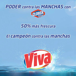 DETERGENTE EN POLVO VIVA REGULAR 850  GR.