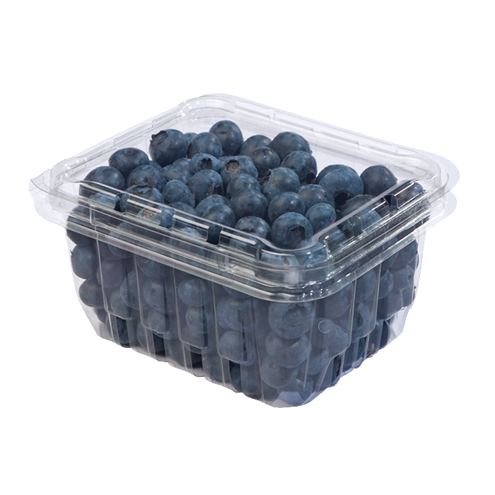 BLUE BERRY CLAMSHELL CHAROLA 170  GR.