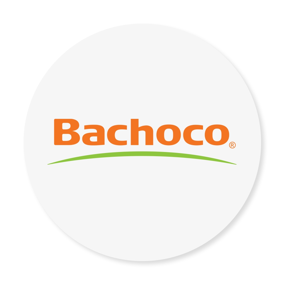 BACHOCO