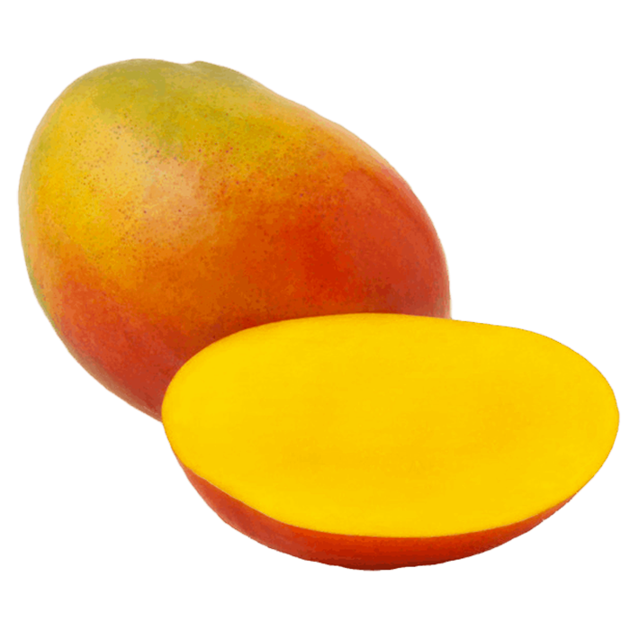 MANGO TOMY